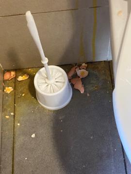 Vandalizem v javnih sanitarijah